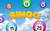 Bingosider